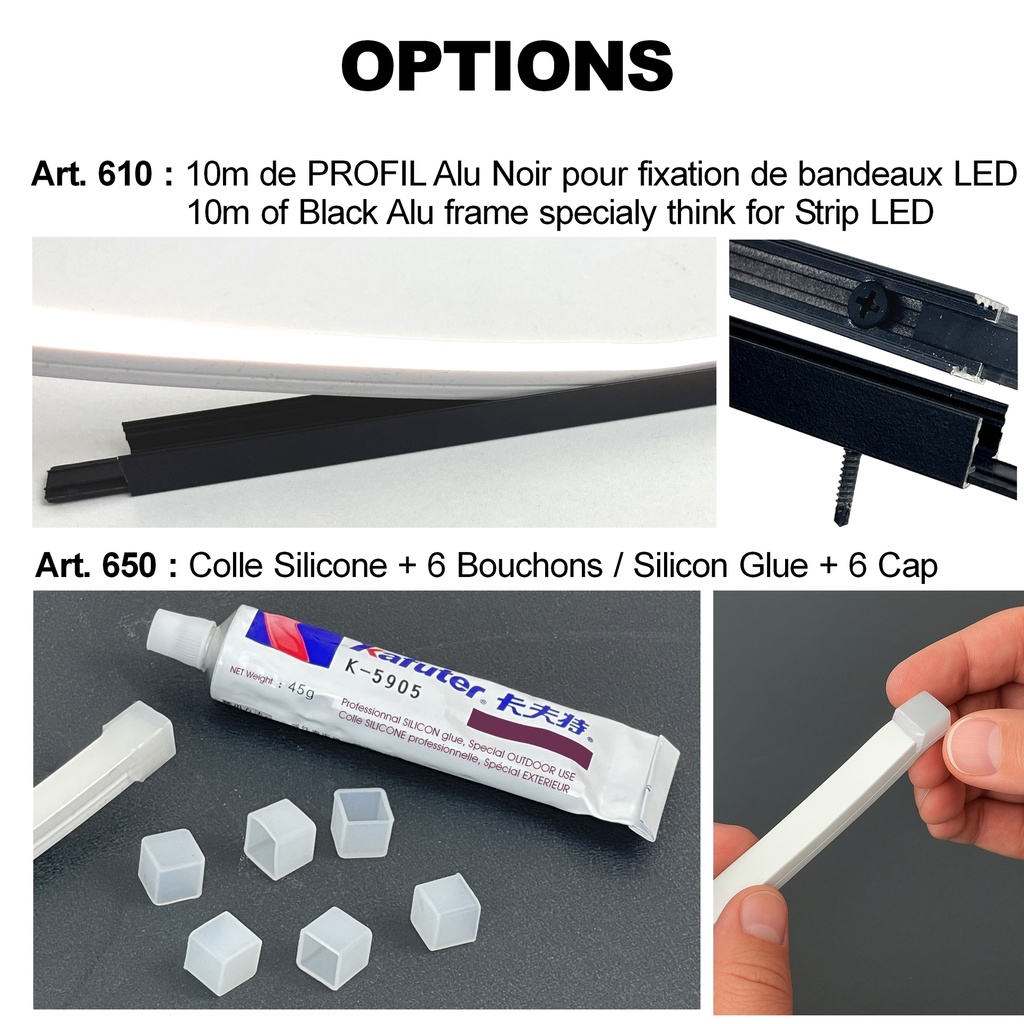 Kit Bandeau LED Silicone 10 m