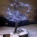 9513 - EXTENSION - Guirlande 30 LEDS (Flash) - 3 m - Fil Noir - Blanc Froid 6500°K