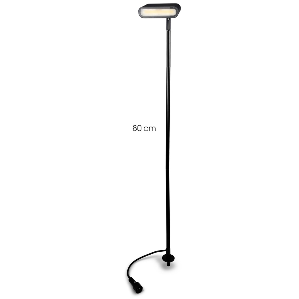 4035 - Eclairage Massif h80 cm Diffuseur Horizontal